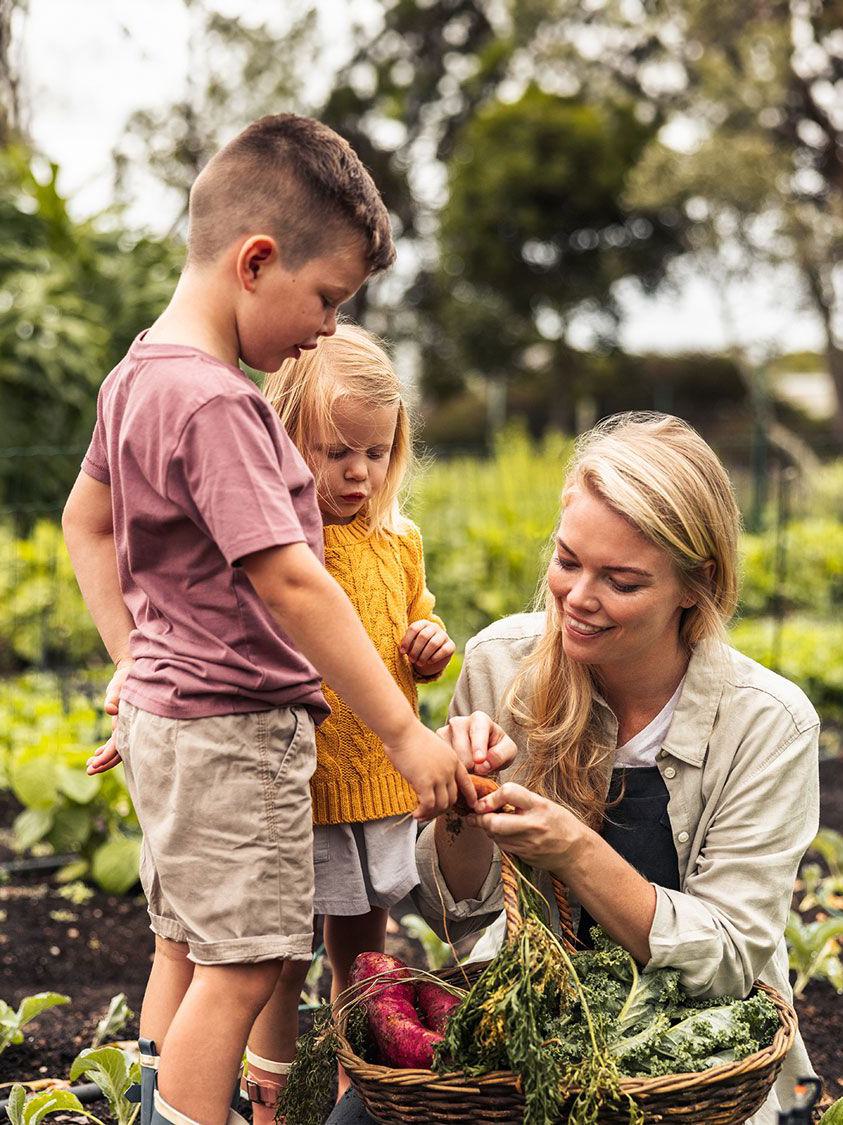 familie, garten, gemüse, ernte, natur, kinder, mutter, nachhaltigkeit, lernen, gemeinschaft, 