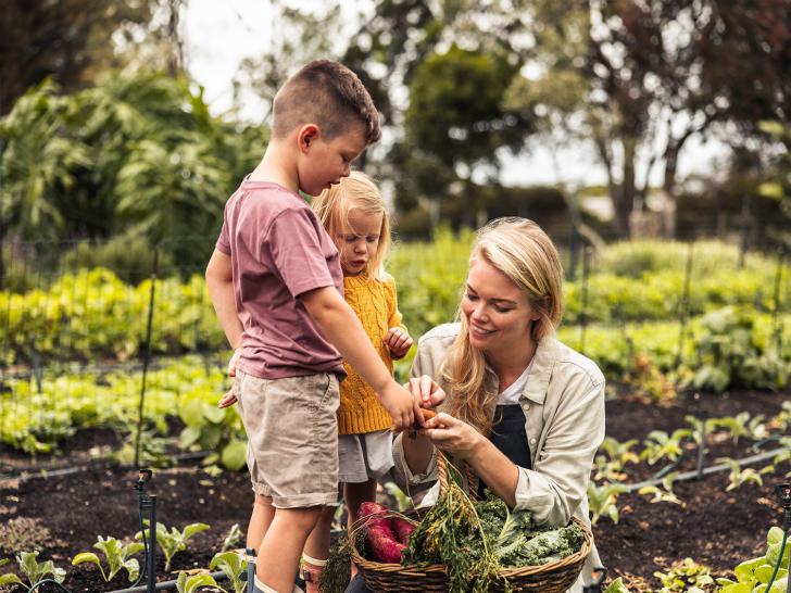 familie, garten, gemüse, ernte, natur, kinder, mutter, nachhaltigkeit, lernen, gemeinschaft, 